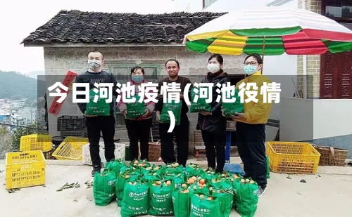 今日河池疫情(河池役情)-第1张图片