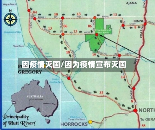 因疫情灭国/因为疫情宣布灭国-第1张图片