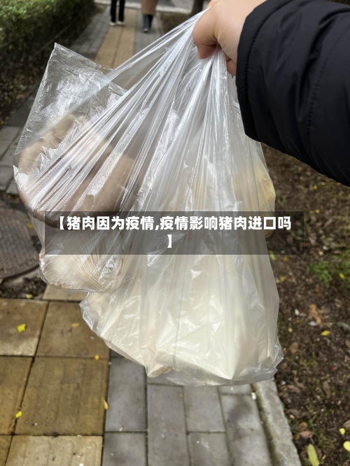 【猪肉因为疫情,疫情影响猪肉进口吗】-第3张图片