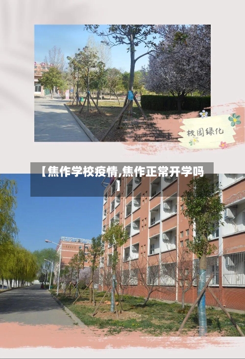 【焦作学校疫情,焦作正常开学吗】-第1张图片