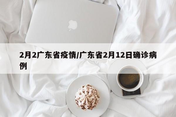 2月2广东省疫情/广东省2月12日确诊病例