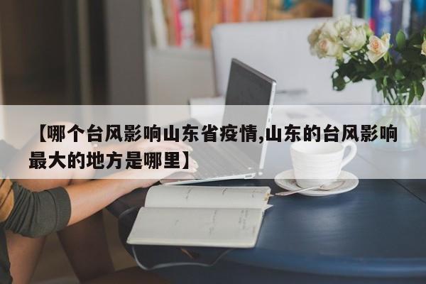 【哪个台风影响山东省疫情,山东的台风影响最大的地方是哪里】