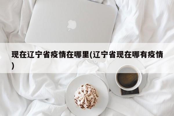 现在辽宁省疫情在哪里(辽宁省现在哪有疫情)