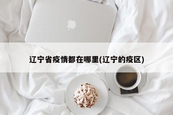 辽宁省疫情都在哪里(辽宁的疫区)