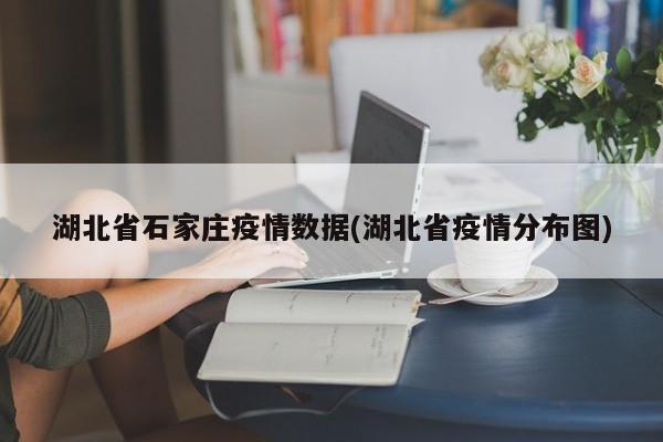 湖北省石家庄疫情数据(湖北省疫情分布图)