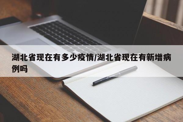 湖北省现在有多少疫情/湖北省现在有新增病例吗