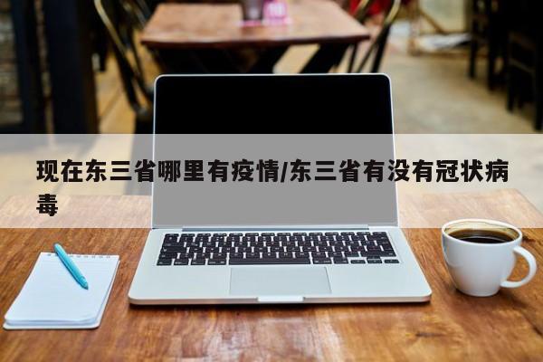 现在东三省哪里有疫情/东三省有没有冠状病毒