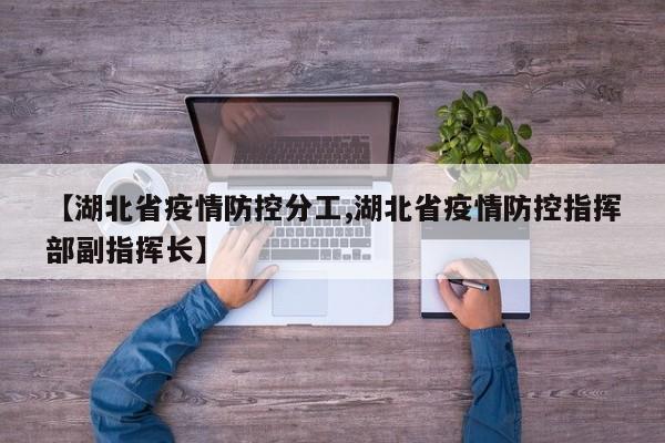 【湖北省疫情防控分工,湖北省疫情防控指挥部副指挥长】