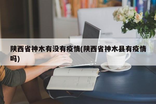 陕西省神木有没有疫情(陕西省神木县有疫情吗)