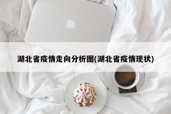 湖北省疫情走向分析图(湖北省疫情现状)