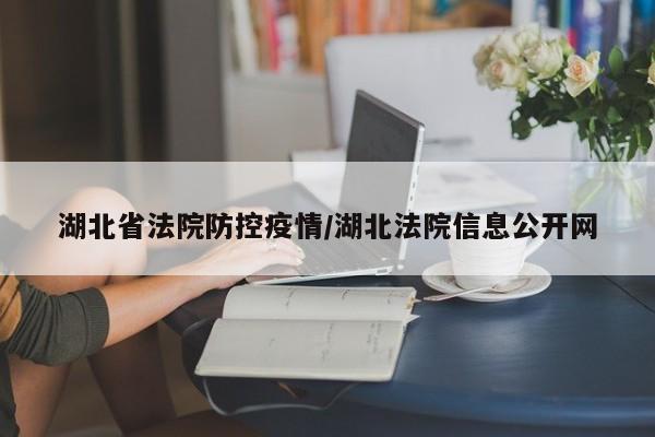 湖北省法院防控疫情/湖北法院信息公开网